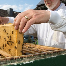 beekeeper-with-beehive-board-featured